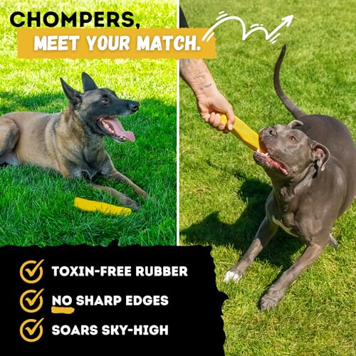 Power Stick for Toughest Chewers