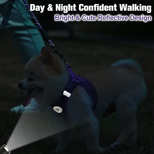 Small Dog Harness and Leash Set (XX-Small(Chest Girth 11.5"-13") / Purple)
