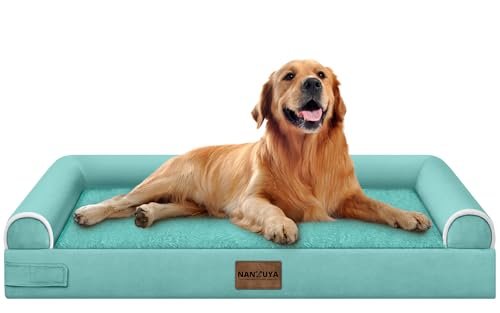 Orthopedic Dog Bed for X (Aqua Blue / 40.0"L x 32.0"W x 6.5"Th)