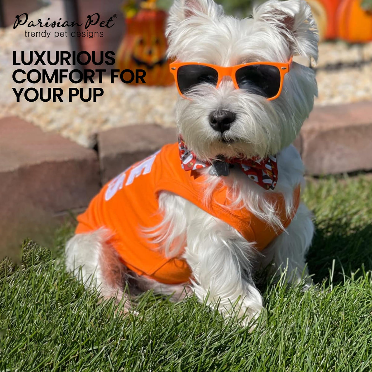 Dog Shirt 100% Cotton Free Hugs Shirts for Small Dogs (Small / Free Hugs)