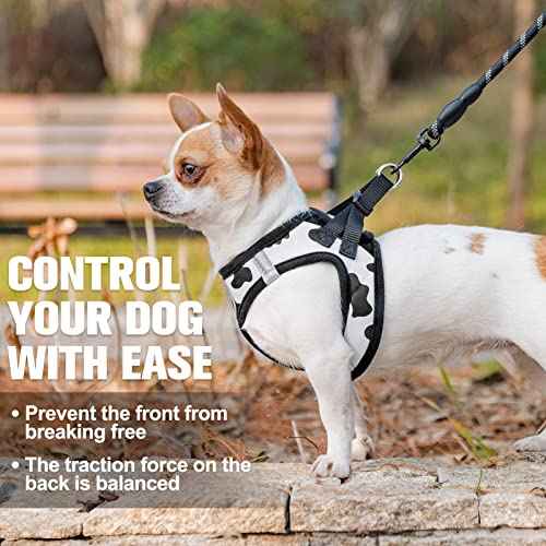 Small Dog Harness and Leash Set (Small(Chest Girth 14.5" - 16") / Black White)