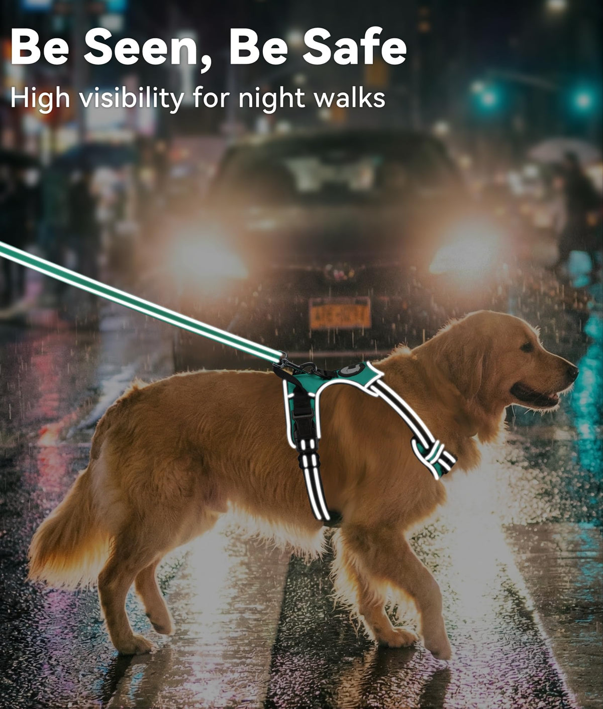 No Pull Dog Harness for Large Dogs (Large / Teal)