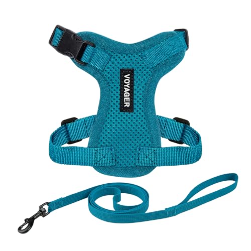 Voyager Step in Lock Cat Harness & Leash Set (Turquoise / S (Chest: 15 - 18"))