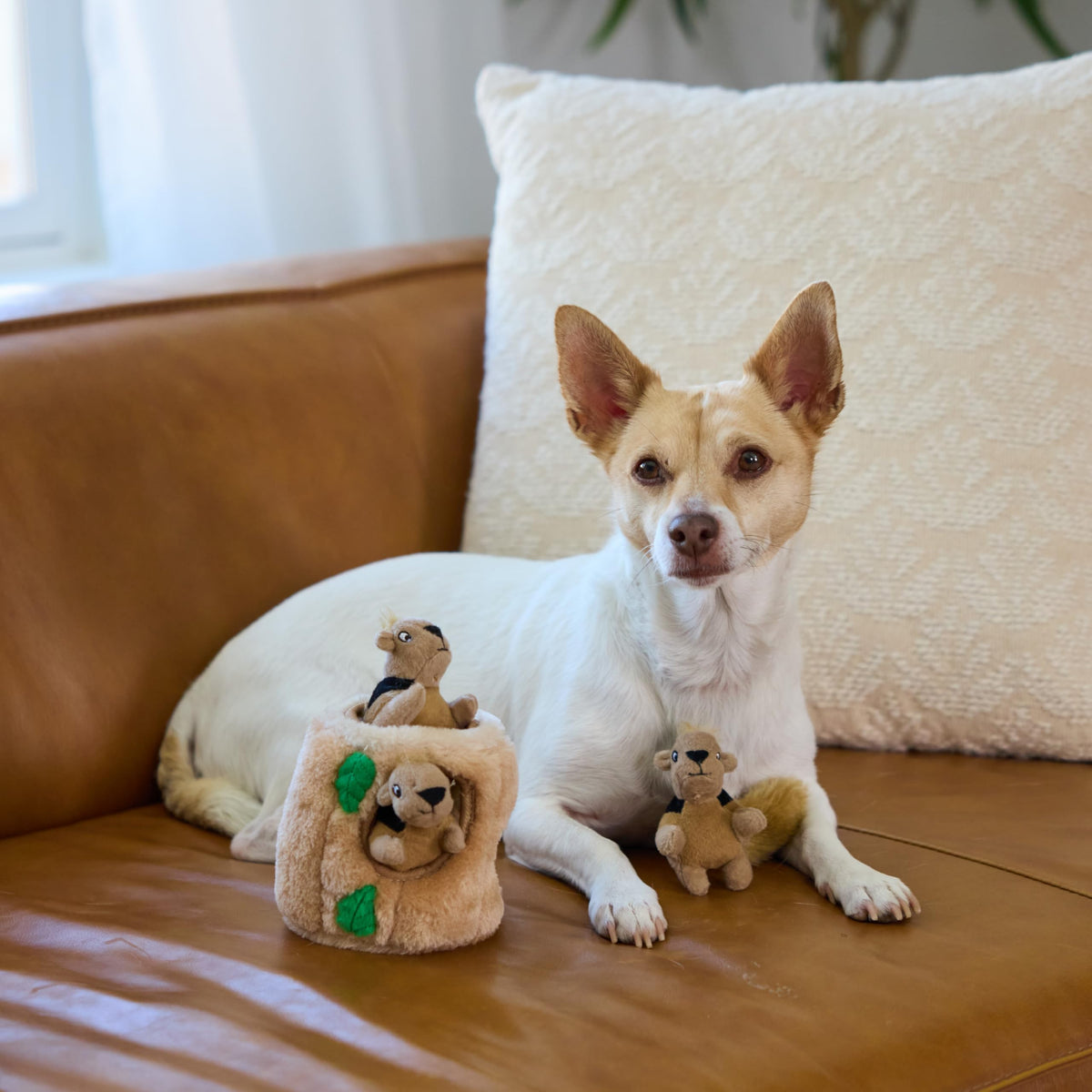 Hide-A-Squirrel Plush Squeaky Dog Toy, Small, 5" x 7" (Squirrel Small / Small (Pack of 1))