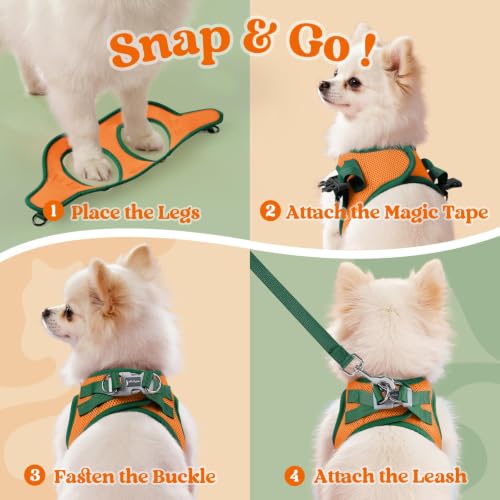 Dog Harness Small Sized and Leash Set (Orange & Dark Green / S (Chest: 15.1"-16.5"))