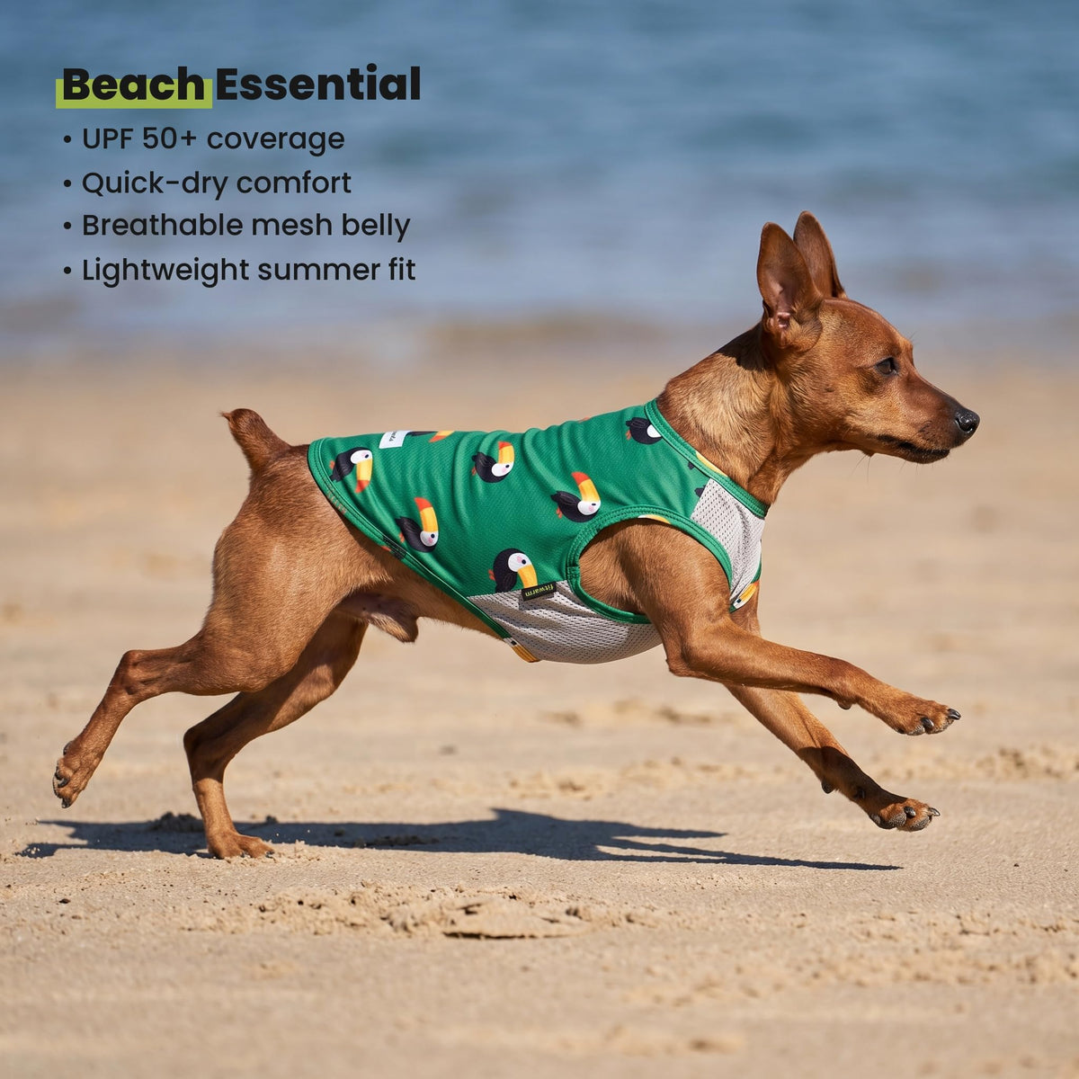 2 Pack Toucan & Palm Tree UPF 50+ Sun UV Protection Dog Shirt (X-Large / Toucan & Palm Tree)