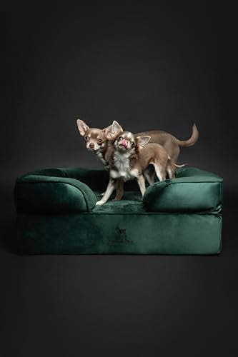 Dog Bed 28x23x11 Inch (Velvet - Dark Green / Medium)