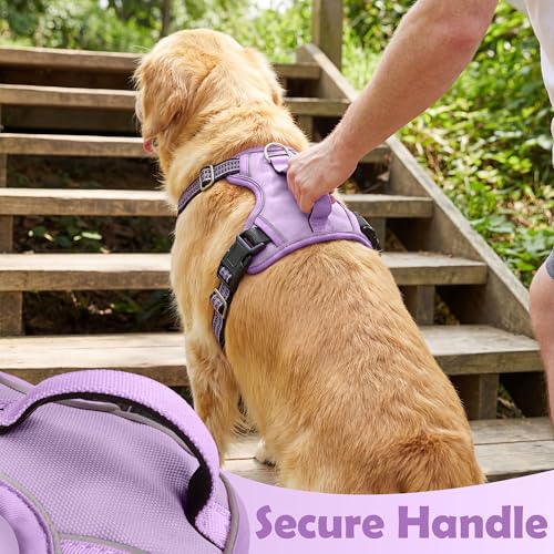 Dog Harness No Pull (Purple / Large)