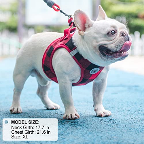 Small Dog Harness and Leash Set (Large(Chest Girth 18" - 21") / Red)