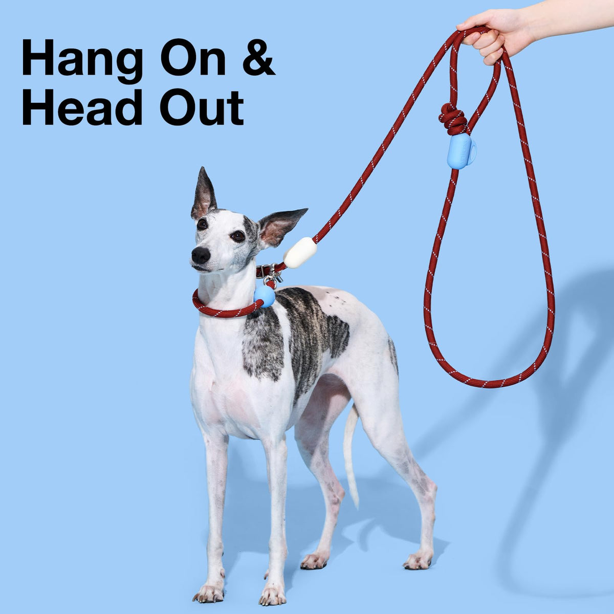 Hands Free Dog Leash (Mist&Merlot Red)