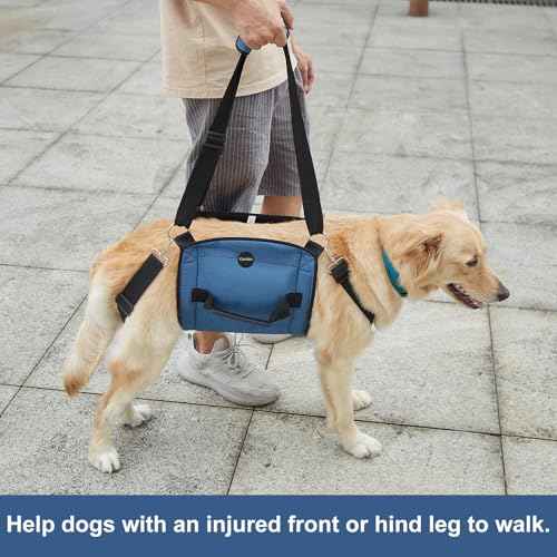 Dog Carry Sling (X-Large / Blue)