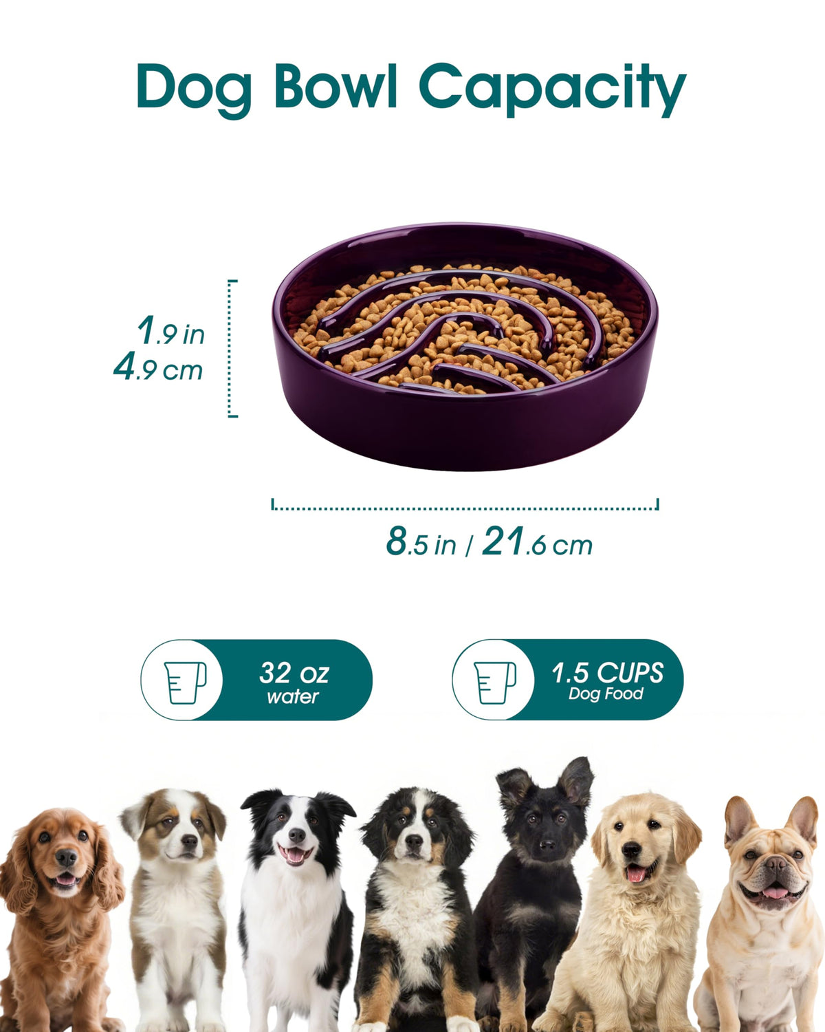 Slow Feeder Dog Bowl (Dark Purple / 1.5 Cups)