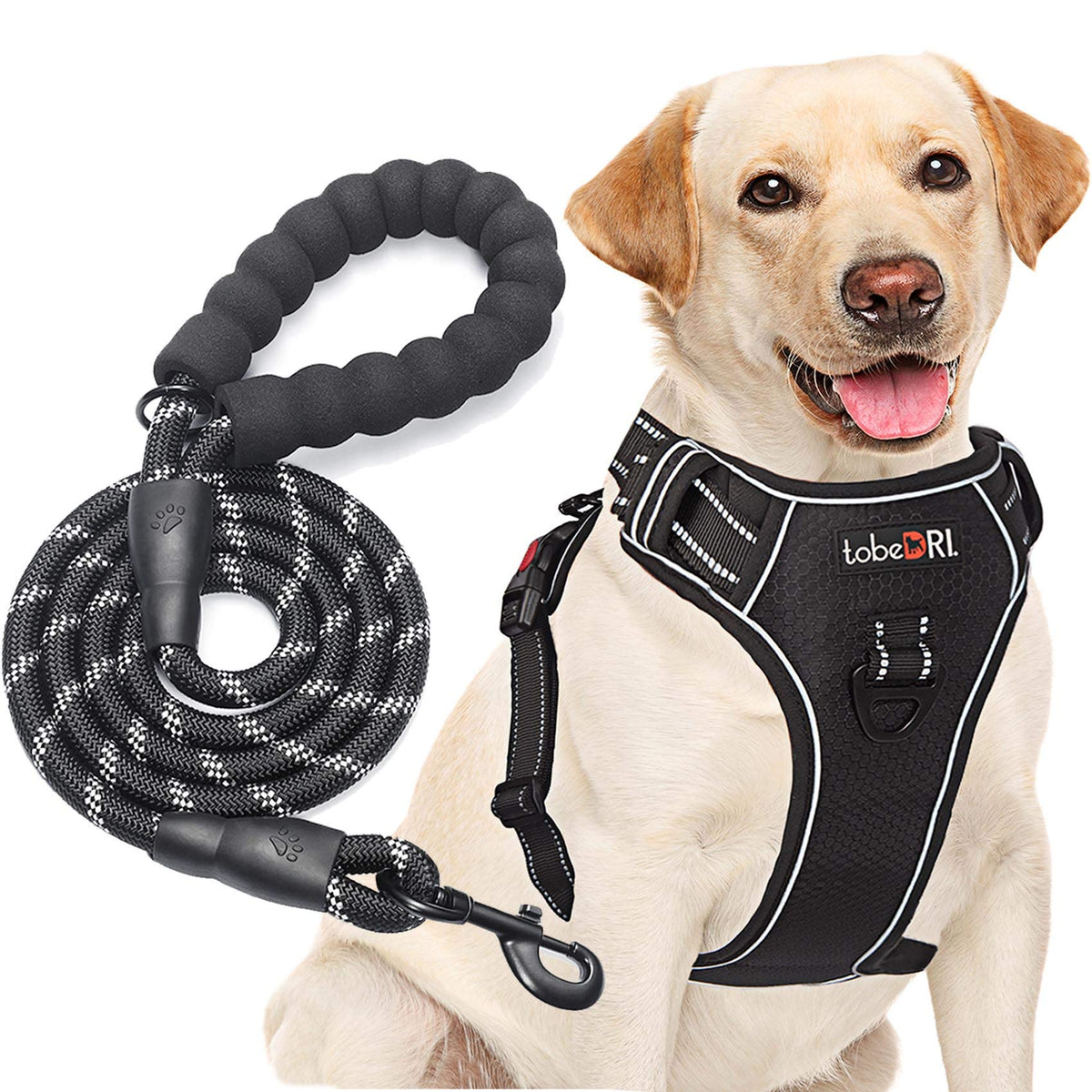 No Pull Dog Harness Adjustable Reflective Oxford Easy Control Medium Large Dog Harness with A Free Heavy Duty 5ft Dog Leash (Black / Small)