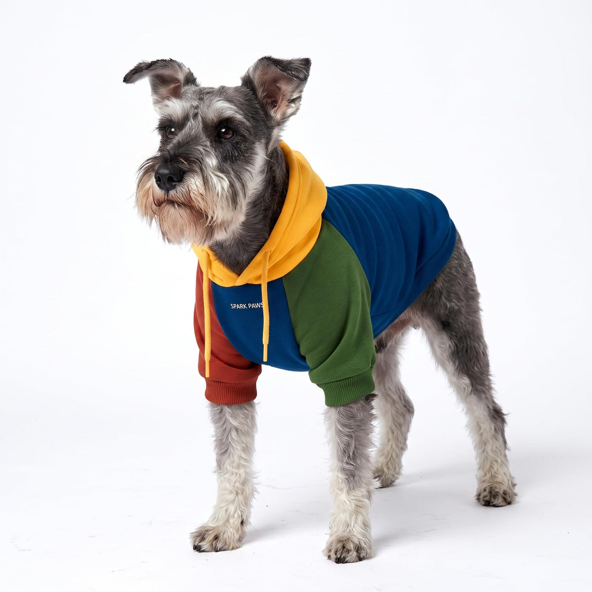 Dog Hoodie Buttery (Primary Color Block / Large)