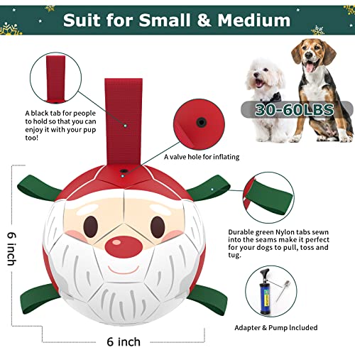 Christmas Dog Balls with Straps (Christmas 1 / 6 Inch)