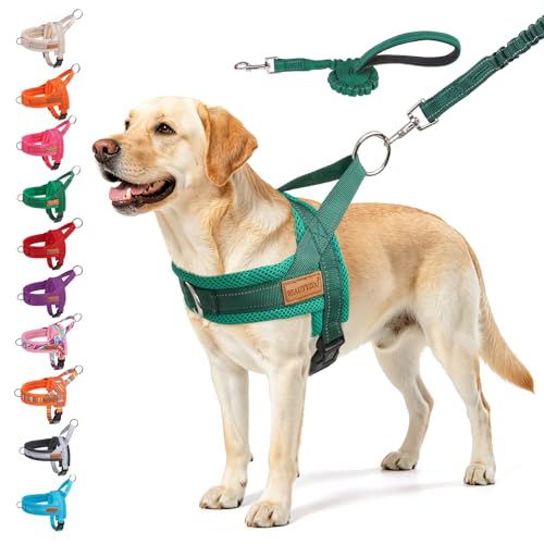 Dog Harness for Large Dogs (Green / L: Chest 26"-32")