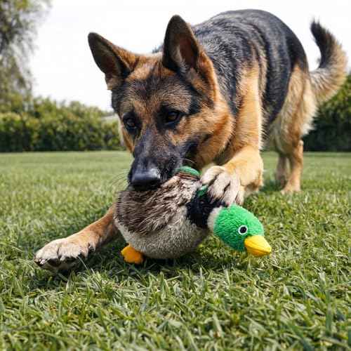 5 Pack Dog Squeaky Toys Three no Stuffing Toy and Two Plush with Stuffing for Small Medium Large Dog Pets (Plush and Stuffingless Combo)