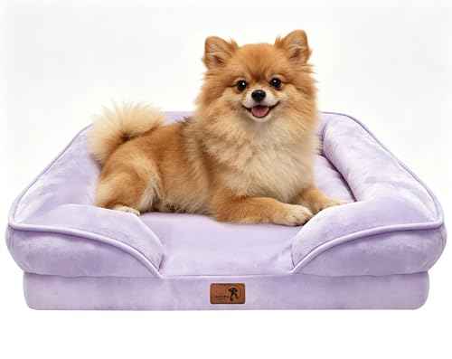 Orthopedic Dog Bed with Sides (24.0"L x 18.0"W x 6.0"Th / Purple)