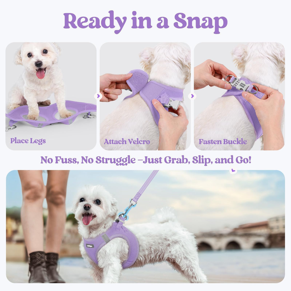 Dog Harness Small Sized and Leash Set (Light Purple / Xs (chest: 13.3 - 15.5"))