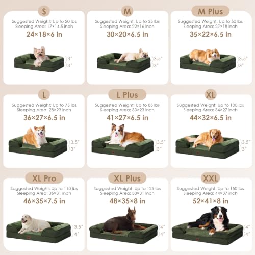 Orthopedic XXL Dog Bed (Dark Green / 46.0"l X 35.0"w X 7.5"th)