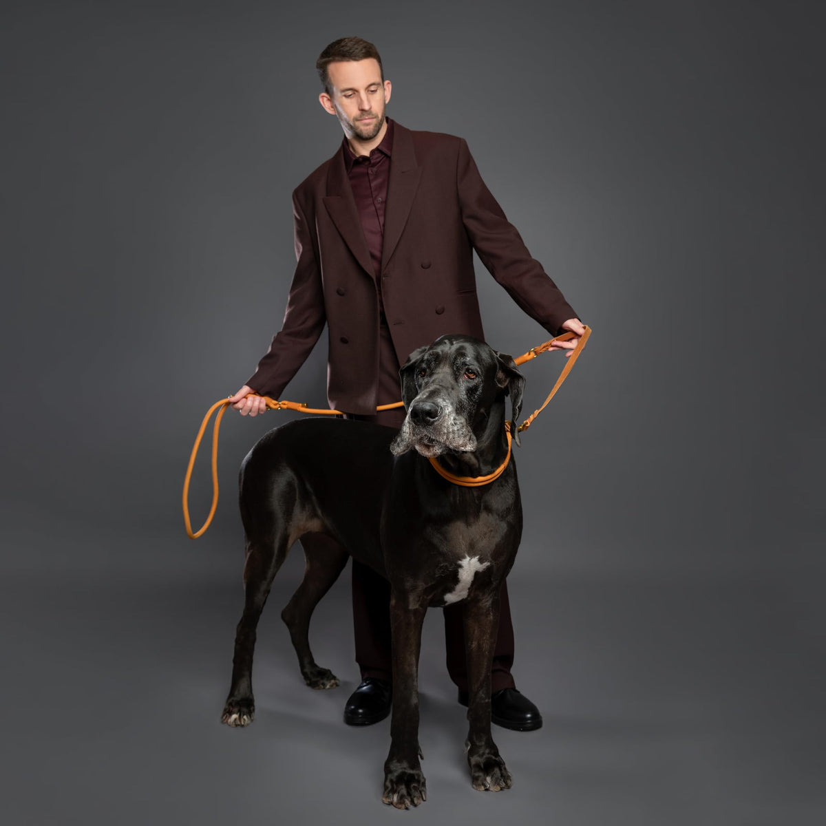 Hands Free Dog Leash (Camel)