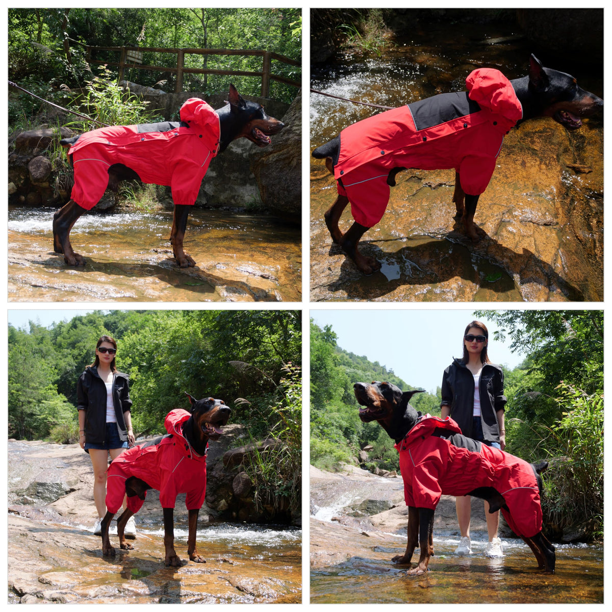 Fleece Lined Dog Raincoat with Removable Hood (Red-Fleeced / XXL (Back 20.5"))