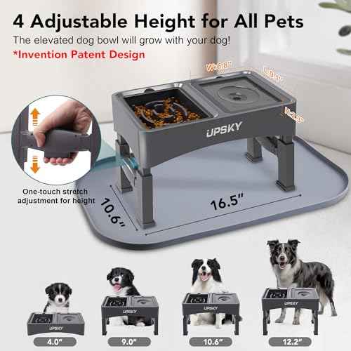 3-in-1 Elevated Dog Bowls Set with 4 Height Adjustable Stand and Mat (N-3 in 1 with Mat (Grey))