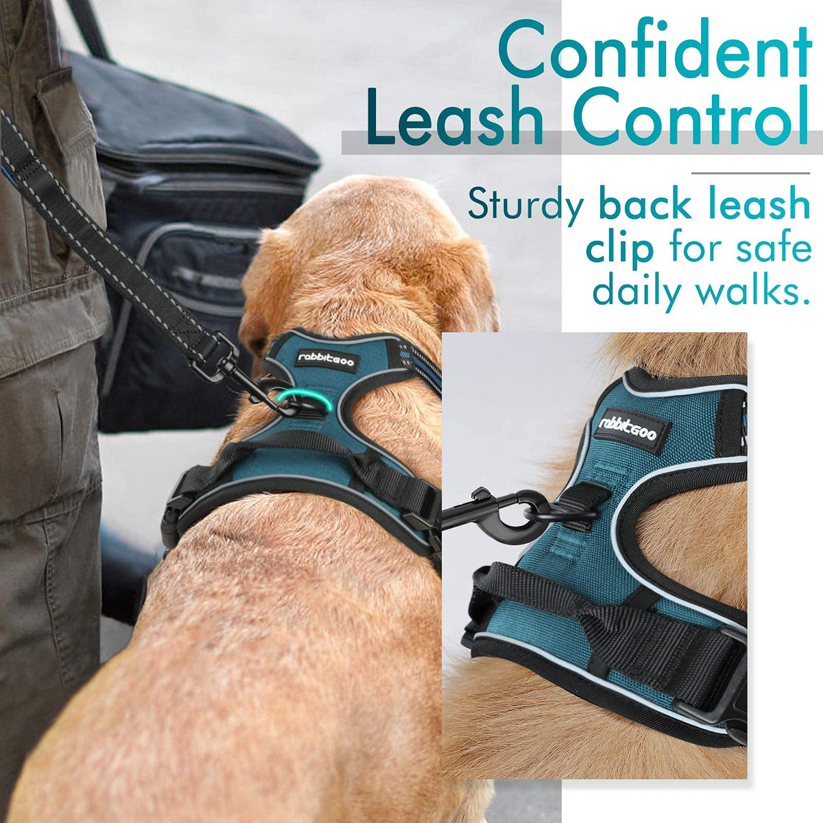 Dog Harness No Pull for Small Dogs with 2 Leash Clips (Small / Blue Coral)