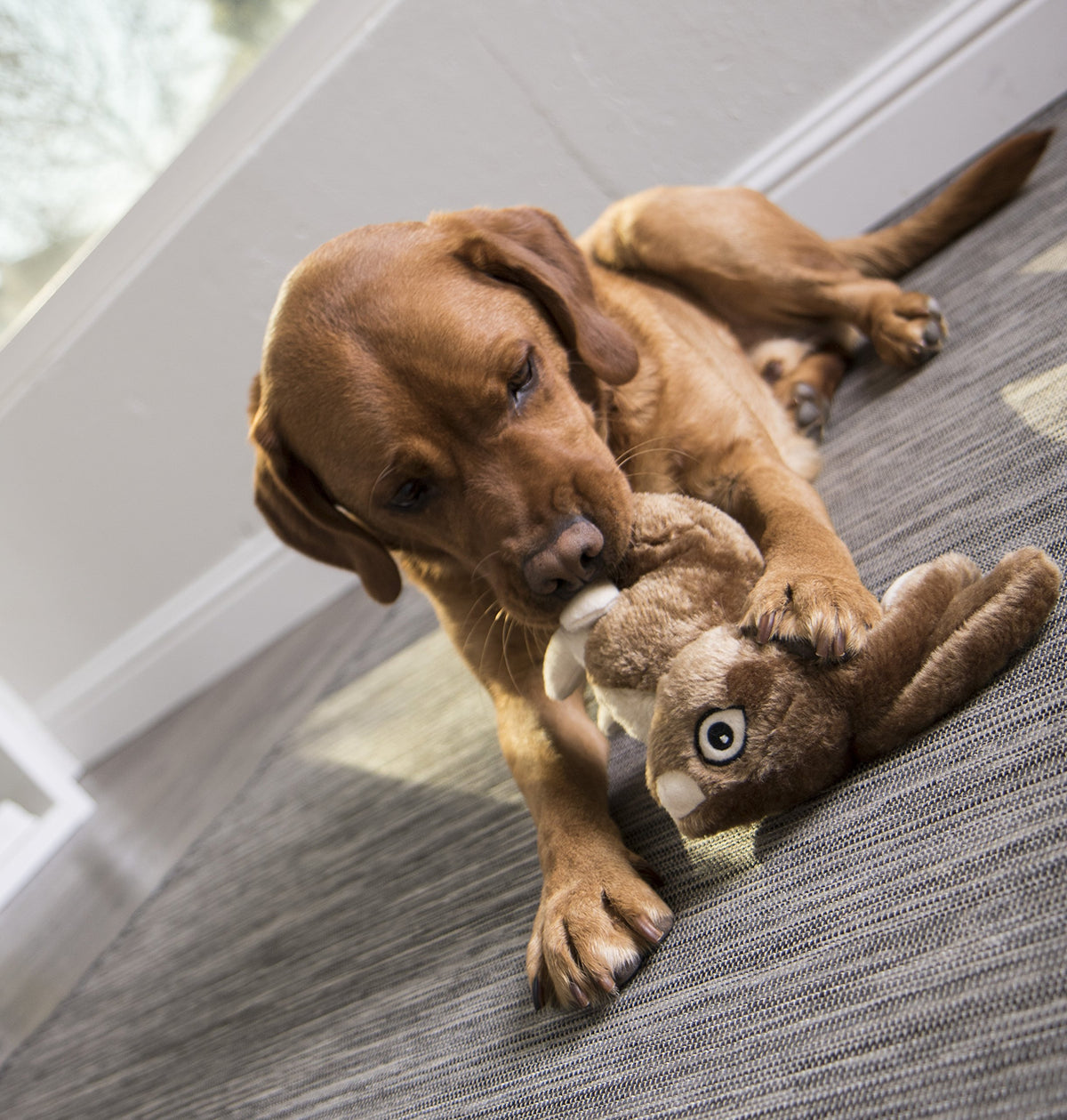Wildlife Rabbit Squeaky Plush Dog Toy with Chew Guard Technology (Wildlife Rabbit (Brown) / Large)