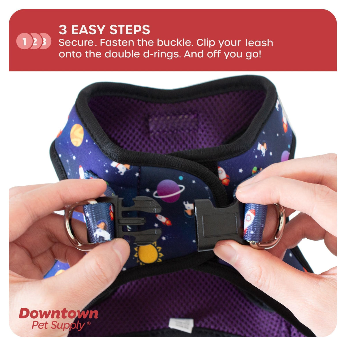 Step in Dog Harness (Small / Space)