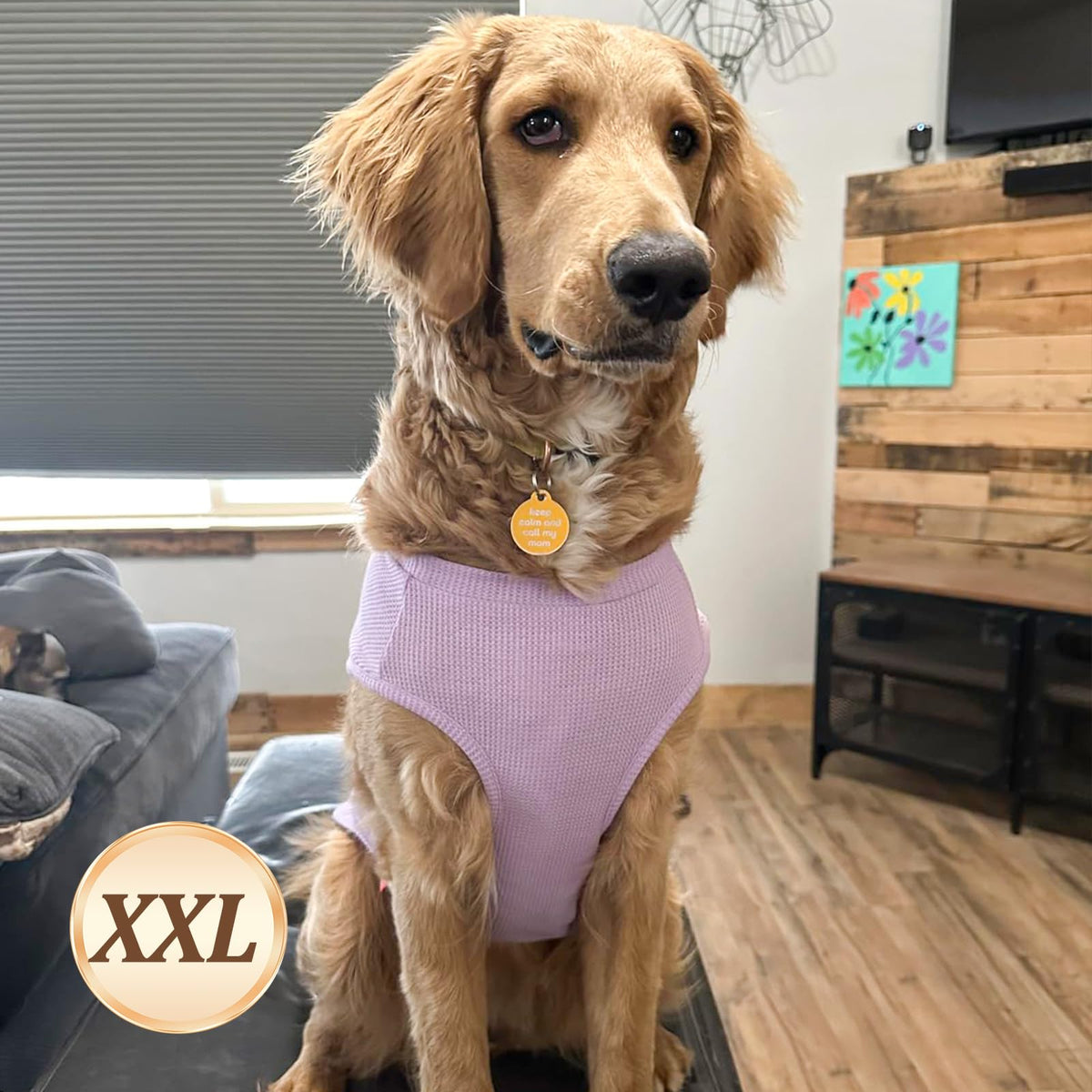 2Pack Waffle Dog Shirt for Medium Large Dogs Soft Dog Sweater (XX-Large (28-50lbs) / 2Pack(Purple+Grey))