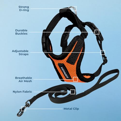 Voyager Step in Lock Cat Harness & Leash Set (Orange/Black Trim / XXS (Chest: 11.5 - 14"))