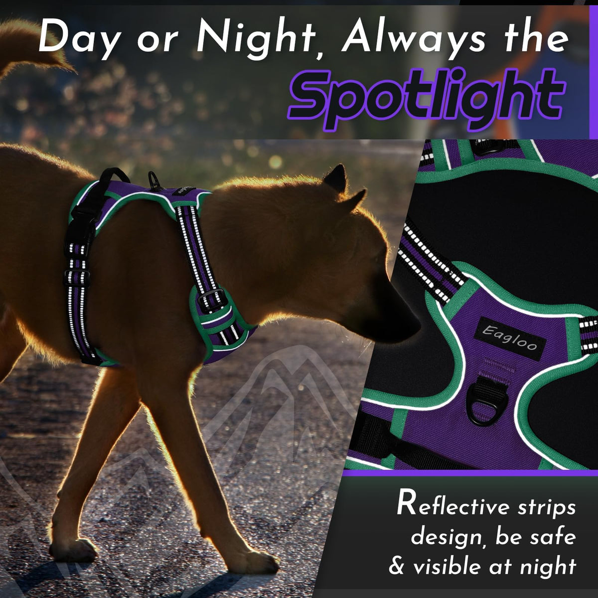 Dog Harness for Large Dogs (Large / Purple & Turquoise)