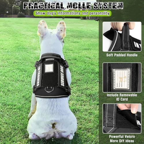 Tactical Dog Harness and Leash Set Small Sized Dog+10 Dog Patches (Small / Black)