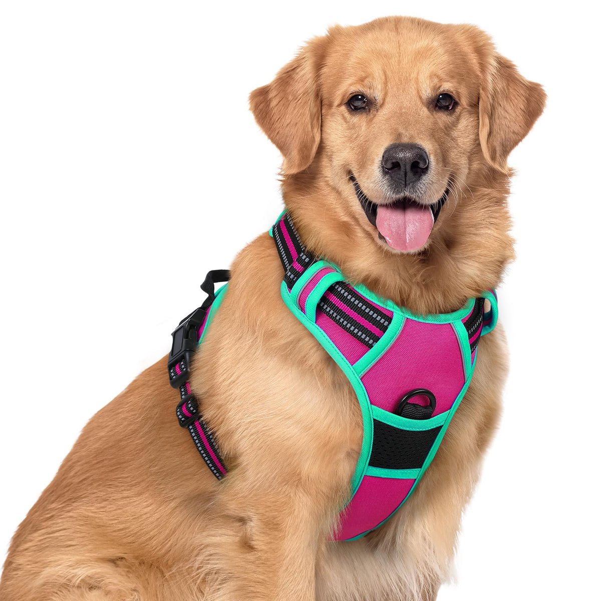 Dog Harness No Pull for Large Dogs with 2 Leash Clips (X-Large / Hot Pink & Turquoise)