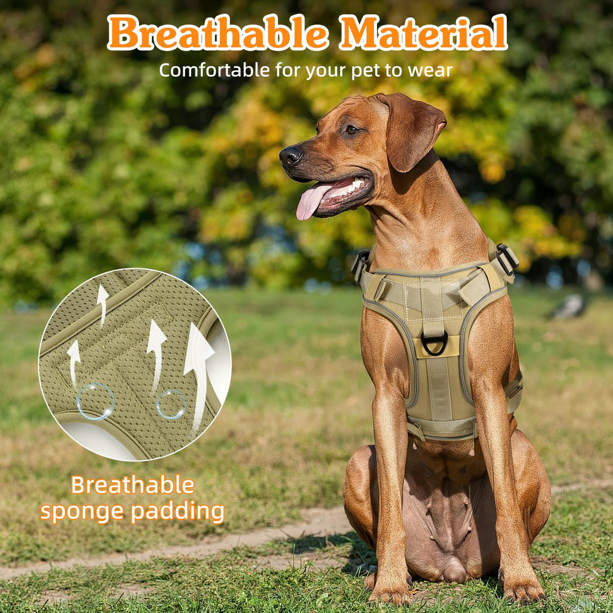 Heavy Duty Tactical Dog Harness for Small Dogs (Army Yellow / S (Chest: 19.6-31.5", Neck: 11-19.6"))