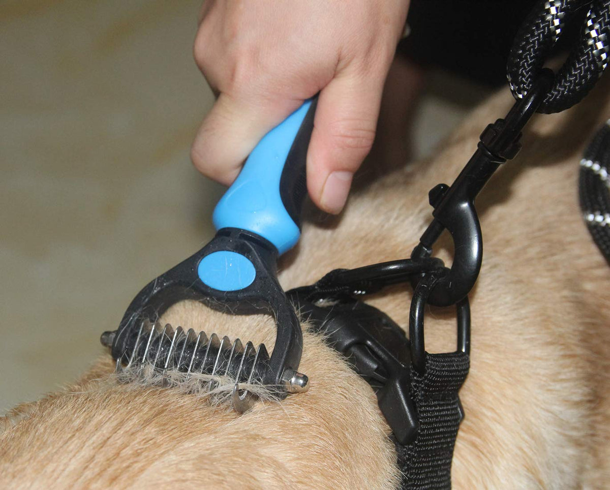 Pet Grooming Brush (Blue / Small)