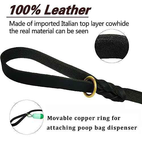 Black Leather Dog Leash 6ft x 5 (6 ft x 5/8 inch / Black)
