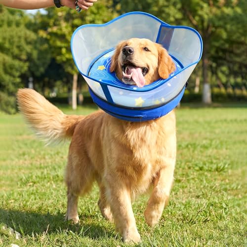 Raised Dog Cone to Stop Licking (Blue / M (Neck 9.5"-12.5"))