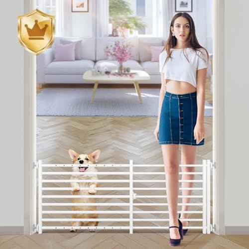 Dog Gate with Door (White / 20''H × 34''- 55''W)
