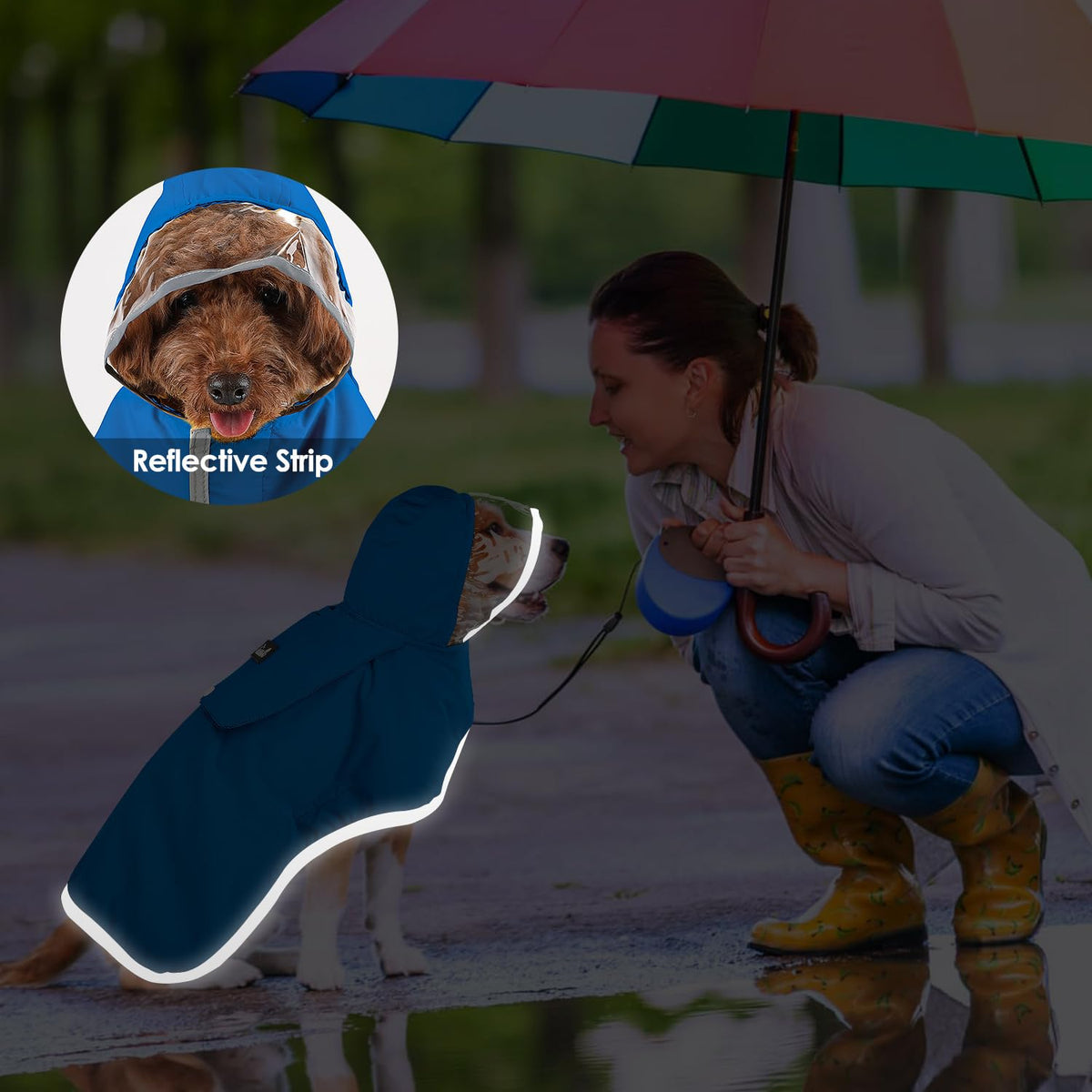 Dog Raincoat Waterproof Jacket with Clear Hood & Leash Hole (Blue / 3X-Large)