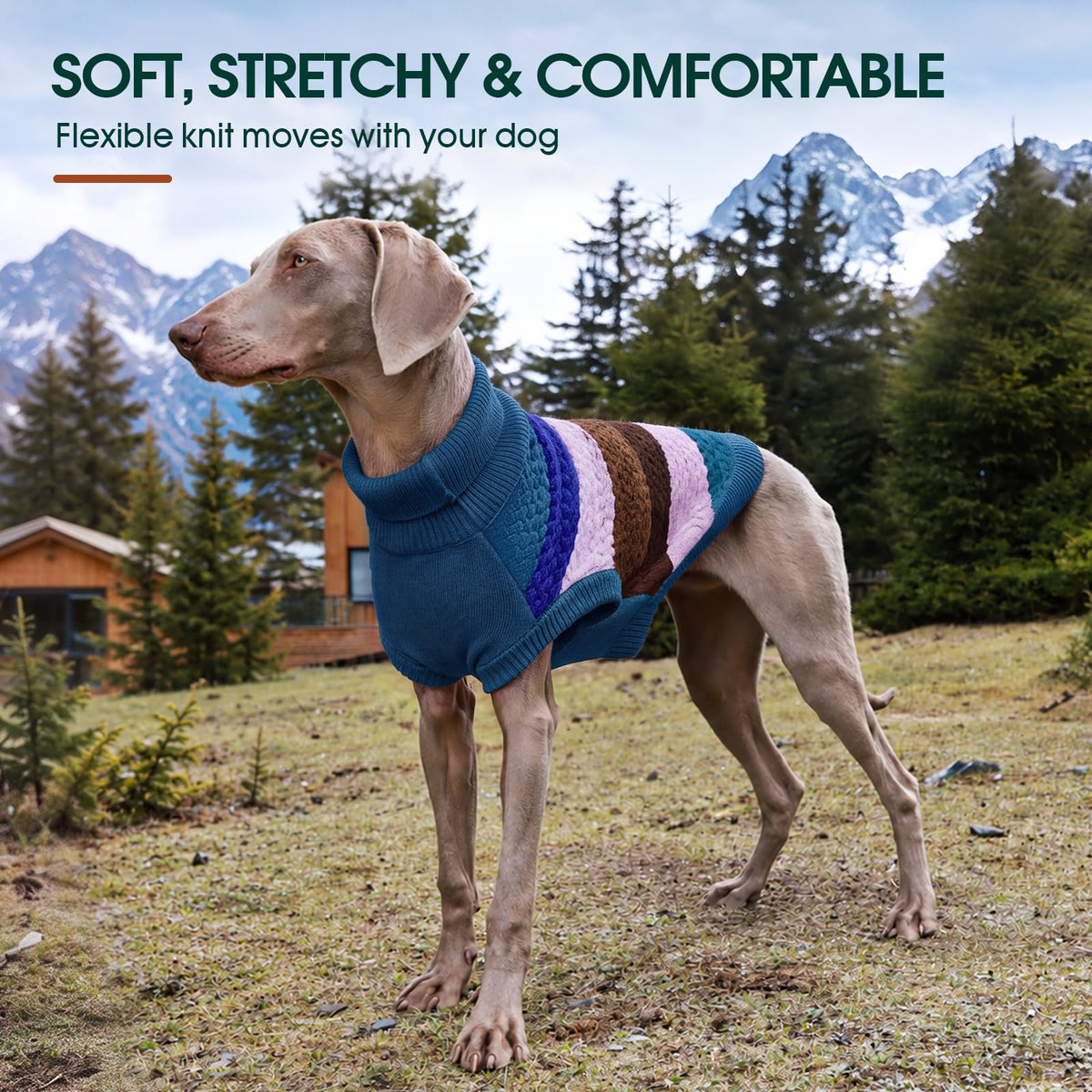Dog Sweater Christmas Dog Sweaters for Extra Small Dogs (X-Small (Chest: 11.8''; Weight: 2 - 5LB) / Blue)