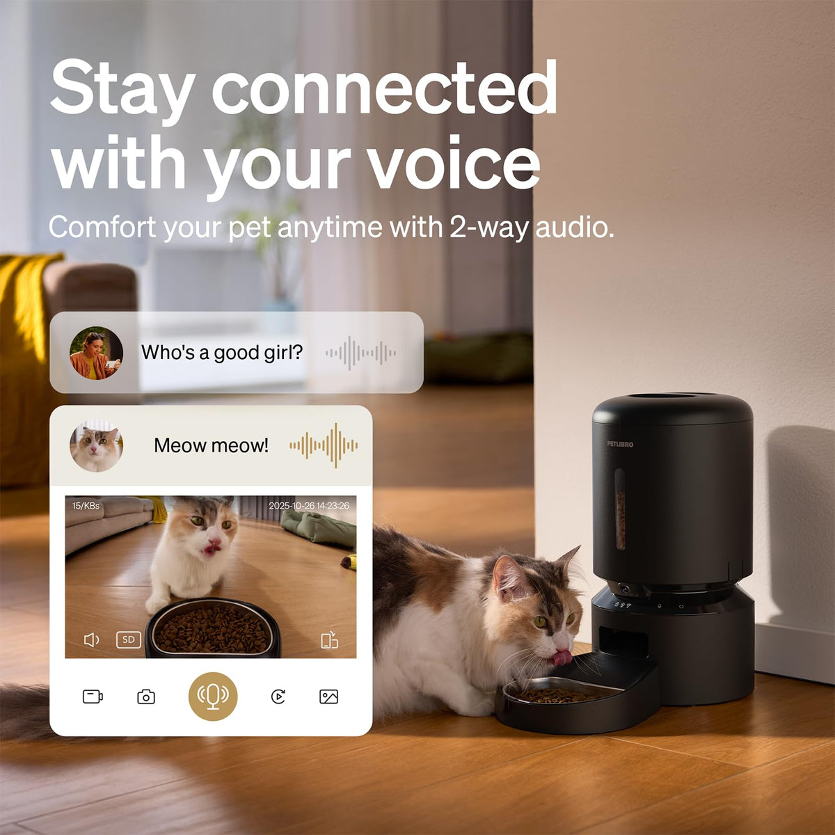 Automatic Cat Feeder with Camera (Black / 5l-camera)
