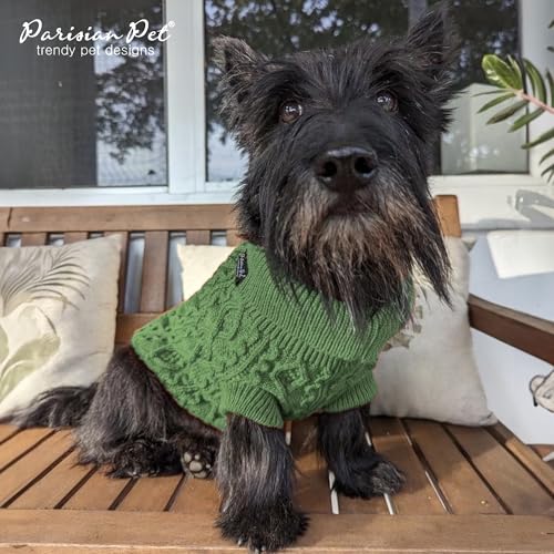 Warm Green Cable Knit Pet Sweater for Dogs & Cats by Parisian Pet (Medium / Cable Knit Green)