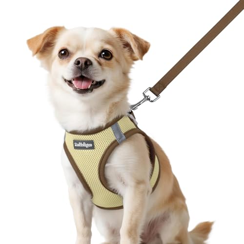 Dog Harness Small Sized and Leash Set (Beige & Coffee / XXS (Chest: 12.4"-14.2"))