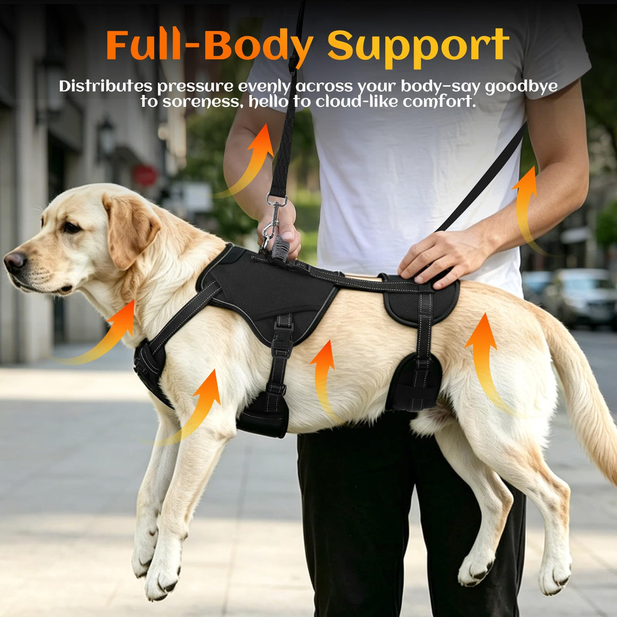 Dog Lift Harness (Black-2 / Medium)