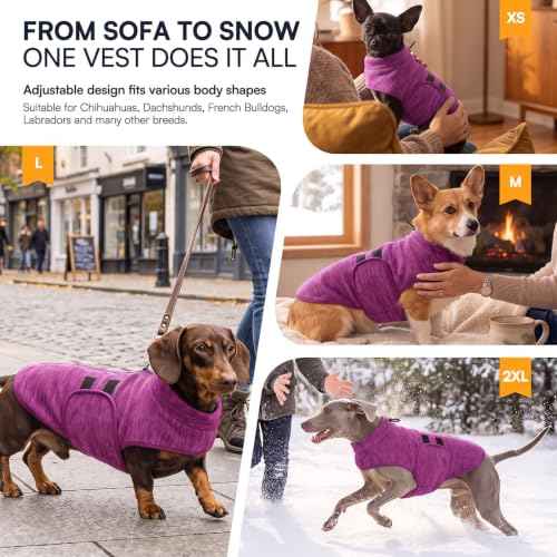 Dog Sweaters for Medium Dogs (Cationic Berry / Medium)