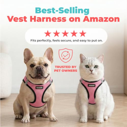 Voyager Step in Air Dog Vest Harness (Pink/Black Trim / XXS (Chest: 12 - 13.5"))