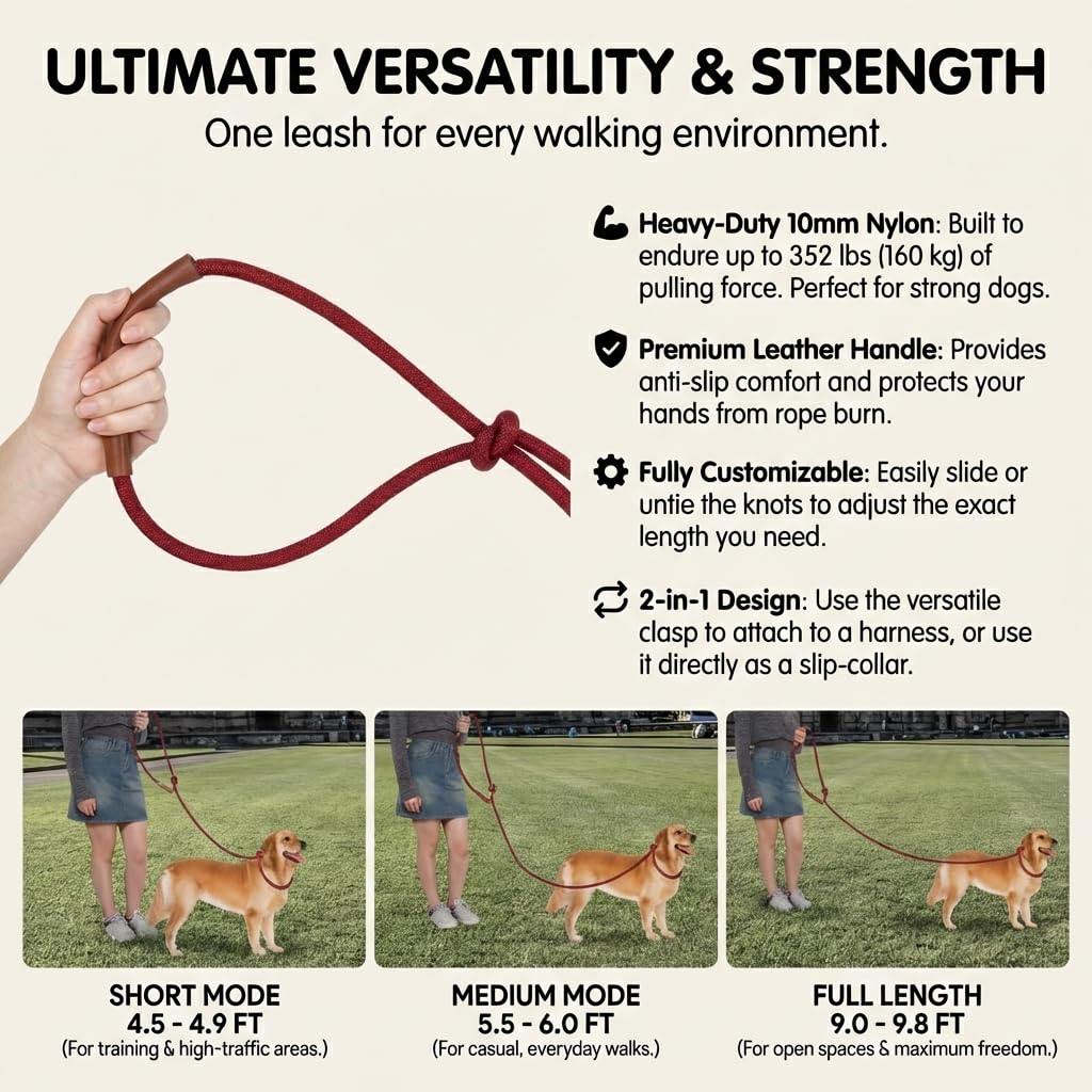 Hands Free Multifunctional Dog Leash for 1 or 2 Dogs (Winery Red)