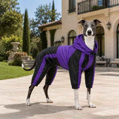 Welsh Corgi Dog Hooded Raincoat (D-M (for Dachshund/Corgi) / Purple)